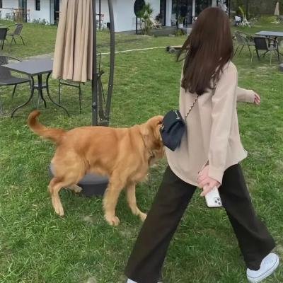 情窦初开